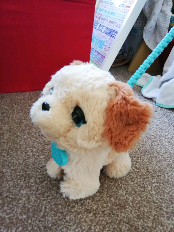 toy dog that poops and eats